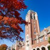 Brick Tower Red Autumn Tree 05947