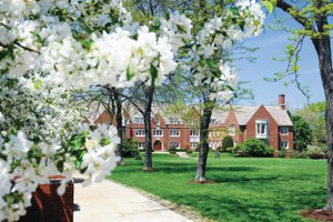 Campus Brick Building Spring Blossoms Lawn