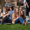 Group Young People Sit Grass Line Smiling Enjoying