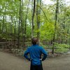 Hiker Blue Jacket Wooded Trail Fork