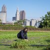 Service Based Internships Image